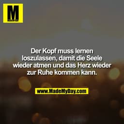 Der Kopf muss lernen loszulassen, damit die Seele wieder atmen und das Herz wieder zur Ruhe kommen kann.