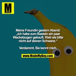 Meine Freundin gestern Abend:
„Ich habe zum Basteln ein paar
Wackelaugen gekauft. Kleb sie bitte
nicht auf deinen Schwan