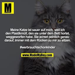 Meine Katze ist sauer auf mich, weil ich
den Plastikmüll, den sie unter dem Bett hortet,
weggeworfen habe. Sie achtet pe