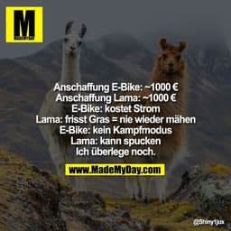 Anschaffung E-Bike: ~1000€
Anschaffung Lama: ~1000€
E-Bike: kostet Strom
Lama: frisst Gras = nie wieder mähen
E-Bike: ke
