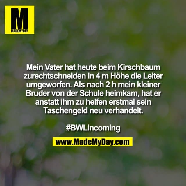 Mein Vater hat heute beim Kirschbaum
zurechtschneiden in 4 m Höhe die Leiter
umgeworfen. Als nach 2 h mein kleiner
Bruder von der Schule heimkam, hat er
anstatt ihm zu helfen erstmal sein
Taschengeld neu verhandelt.
#BWLincoming - Inspiration, Zitate & Sprüche | MadeMyDay | Jetzt entdecken & teilen Mein Vater hat heute beim Kirschbaum
zurechtschneiden in 4 m Höhe die Leiter
umgeworfen. Als nach 2 h mein kleiner
Bruder von der Schule heimkam, hat er
anstatt ihm zu helfen erstmal sein
Taschengeld neu verhandelt.
#BWLincoming - Inspirierendes Zitat mit Bild