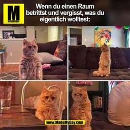 Wenn du einen Raum
betrittst und vergisst, was du
eigentlich wolltest: (BILD)