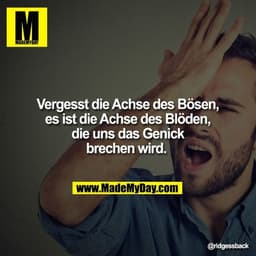 Vergesst die Achse des Bösen, es ist die Achse des Blöden, die uns das Genick brechen wird.