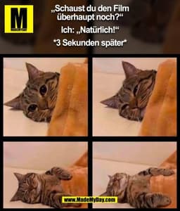 „Schaust du den Film
überhaupt noch?“

Ich: „Natürlich!“

*3 Sekunden später* (BILD)
