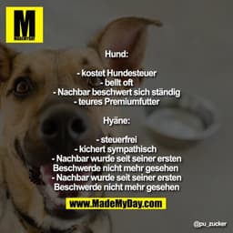 Hund:

- kostet Hundesteuer
- bellt oft
- Nachbar beschwert sich ständig
- teures Premiumfutter

Hyäne:

- steuerfrei
- 