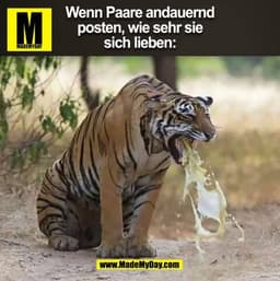 Wenn Paare andauernd
posten, wie sehr sie
sich lieben: (BILD)
