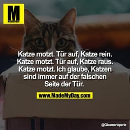 Katze motzt. Tür auf, Katze rein. Katze motzt. Tür auf, Katze raus. Katze motzt. Ich glaube, Katzen sind immer auf der f