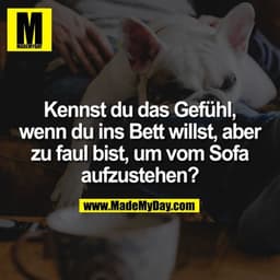 Kennst du das Gefühl, wenn du ins Bett willst, aber zu faul bist, um vom Sofa aufzustehen?