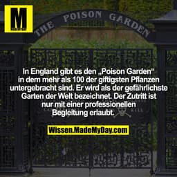 In England gibt es den „Poison Garden“ in dem mehr als 100 der giftigsten Pflanzen untergebracht sind. Er wird als der g