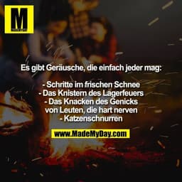 Es gibt Geräusche, die einfach jeder mag: - Schritte im frischen Schnee - Das Knistern des Lagerfeuers - Das Knacken des