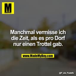 Manchmal vermisse ich die Zeit, als es pro Dorf nur einen Trottel gab.