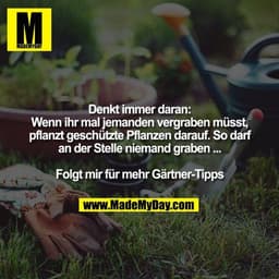 Denkt immer daran: Wenn ihr mal jemanden vergraben müsst, pflanzt geschützte Pflanzen darauf. So darf an der Stelle niem