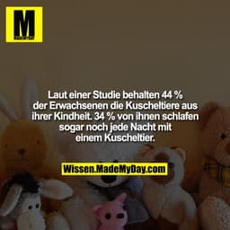 Laut einer Studie behalten 44 % der Erwachsenen die Kuscheltiere aus ihrer Kindheit. 34 % von ihnen schlafen sogar noch 