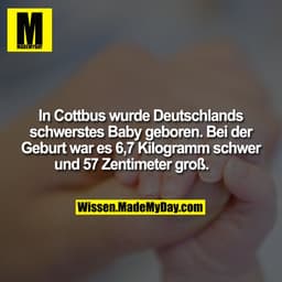 In Cottbus wurde Deutschlands schwerstes Baby geboren. Bei der Geburt war es 6,7 Kilogramm schwer und 57 Zentimeter groß