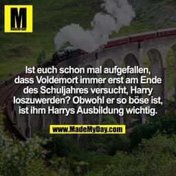 Ist euch schon mal aufgefallen, dass Voldemort immer erst am Ende des Schuljahres versucht, Harry loszuwerden? Obwohl er