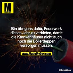 Bin übrigens dafür, Feuerwerk dieses Jahr zu verbieten, damit die Krankenhäuser nicht auch noch die Böllerdeppen versorg