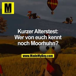 Kurzer Alterstest:
Wer von euch kennt noch Moorhuhn?