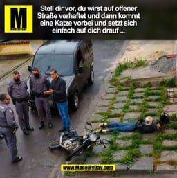 Stell dir vor, du wirst auf offener Straße verhaftet und dann kommt eine Katze vorbei und setzt sich einfach auf dich dr