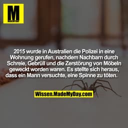 2015 wurde in Australien die Polizei in eine Wohnung gerufen, nachdem Nachbarn durch Schreie, Gebrüll und die Zerstörung