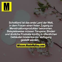 Schottland ist das erste Land der Welt, in dem Frauen einen freien Zugang zu Menstruationsprodukten bekommen. Beispielsw