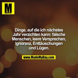 Dinge, auf die ich nächstes Jahr verzichten kann: falsche Menschen, leere Versprechen, Ignoranz, Enttäuschungen und Lüge