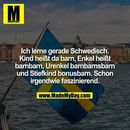 Ich lerne gerade Schwedisch. Kind heißt da barn, Enkel heißt barnbarn, Urenkel barnbarnsbarn und Stiefkind bonusbarn. Sc