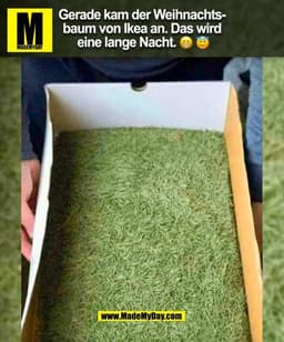 Gerade kam der Weihnachts-
baum von Ikea an. Das wird
eine lange Nacht. (BILD)