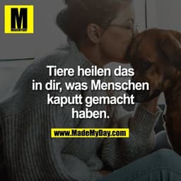 Tiere heilen das
in dir, was Menschen
kaputt gemacht
haben.