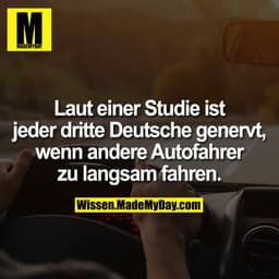 Laut einer Studie ist jeder dritte Deutsche genervt, wenn andere Autofahrer zu langsam fahren.