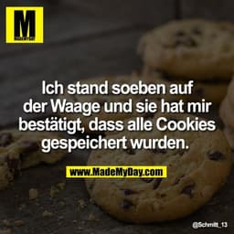 Ich stand soeben auf
der Waage und sie hat mir
bestätigt, dass alle Cookies
gespeichert wurden.