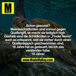 Schon gewusst?
Meeresschildkröten sind immun gegen
Quallengift, es macht sie lediglich high.
Deshalb sind die Schildkröt