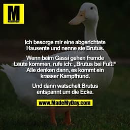 Ich besorge mir eine abgerichtete
Hausente und nenne sie Brutus.

Wenn beim Gassi gehen fremde
Leute kommen, rufe ich: „