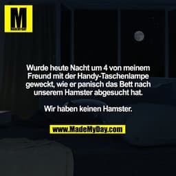 Wurde heute Nacht um 4 von meinem
Freund mit der Handy-Taschenlampe
geweckt, wie er panisch das Bett nach
unserem Hamste