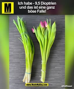 Ich habe - 9,5 Dioptrien
und das ist eine ganz
böse Falle!
@RalfDessel
(BILD)