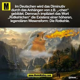 Im Deutschen wird das Diminutiv
durch das Anhängen von z.B. „-chen“
gebildet. Demnach impliziert das Wort
„Rotkehlchen“ 