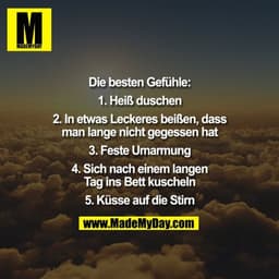 Die besten Gefühle:

1. Heiß duschen

2. In etwas Leckeres beißen, dass
man lange nicht gegessen hat

3. Feste Umarmung
