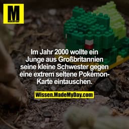 Im Jahr 2000 wollte ein Junge aus Großbritannien seine kleine Schwester gegen eine extrem seltene Pokémon-Karte eintausc