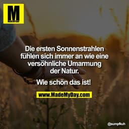 Die ersten Sonnenstrahlen
fühlen sich immer an wie eine
versöhnliche Umarmung
der Natur.

Wie schön das ist!