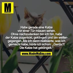 Habe gerade eine Katze
vor einer Tür miauen sehen.
Ohne nachzudenken bin ich hin, habe
der Katze zugenickt, geklingelt u
