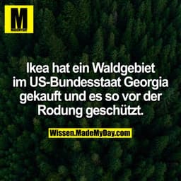 Ikea hat ein Waldgebiet im US-Bundesstaat Georgia gekauft und es so vor der Rodung geschützt.