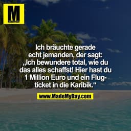 Ich bräuchte gerade
echt jemanden, der sagt:
„Ich bewundere total, wie du
das alles schaffst! Hier hast du
1 Million Eur