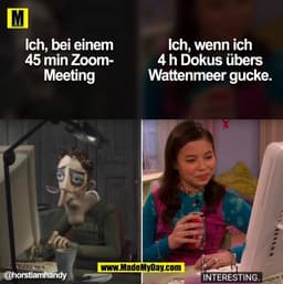 Ich, bei einem
45 min Zoom-
Meeting @horstiamhandy (BILD)