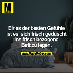 Eines der besten Gefühle
ist es, sich frisch geduscht
ins frisch bezogene
Bett zu legen.