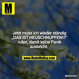 Jetzt muss ich wieder ständig
„DAS IST HEUSCHNUPFEN!!!“
rufen, damit keine Panik
ausbricht.