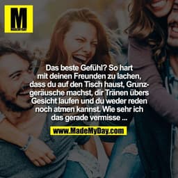 Das beste Gefühl? So hart
mit deinen Freunden zu lachen,
dass du auf den Tisch haust, Grunz-
geräusche machst, dir Träne