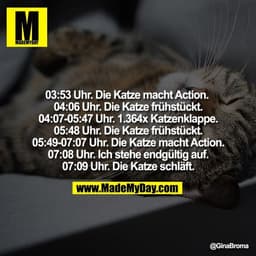 03:53 Uhr. Die Katze macht Action. 
04:06 Uhr. Die Katze frühstückt.
04:07-05:47 Uhr. 1.364x Katzenklappe.
05:48 Uhr. Di