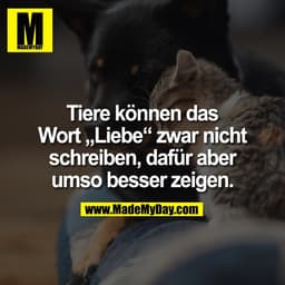 Tiere können das
Wort „Liebe“ zwar nicht
schreiben, dafür aber
umso besser zeigen.