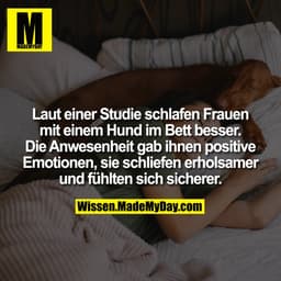 Laut einer Studie schlafen Frauen mit einem Hund im Bett besser. Die Anwesenheit gab ihnen positive Emotionen, sie schli