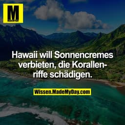 Hawaii will Sonnencremes verbieten, die Korallenriffe schädigen.