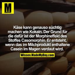 Käse kann genauso süchtig machen wie Kokain. Der Grund für die dafür ist der Morphineffekt des Stoffes Casomorphin. Er e